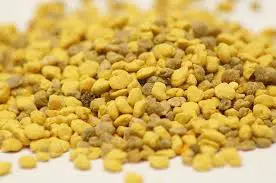 Bee pollen is one of the healthiest supplements in the world. Scroll down to learn what it can do for the body. 