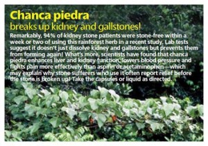 Chanca Piedra has achieved amazing results for people with kidney issues. Click the picture for an organic detoxing supplement with with Chanca Piedra.