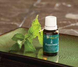 Peppermint oil is one of the best natural ways to freshen breath, and only a few drops are needed. Click the picture to see what brand we recommend.