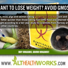 GMO Food and Weight Gain: Why Do So Few See the Link?