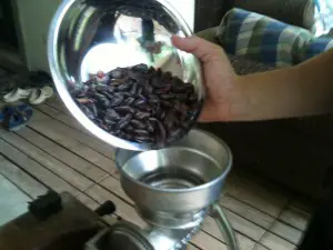 Pouring cacao beans into a traditional grinder (this is a corn/maize grinder like this one that works for cacao as well). 