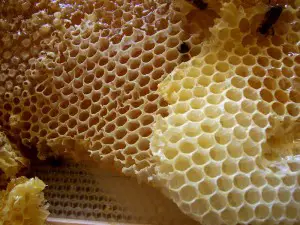 Raw honey can help fuel the liver and eliminate belly fat when taken at night. 