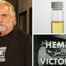 Tommy Chong of ‘Cheech & Chong’ Fame: “I’m Cancer-Free” Thanks to Hemp Oil and the Right Diet
