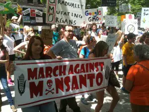 The grassroots movement against GMOs, and the lack of transparency that comes with them, has become strong in America. 
