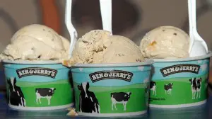 Ben and Jerry's is going GMO free and doing great work to support labeling, but the milk will still be sourced from cows fed GMOs for the foreseeable future due to supply chain issues. 