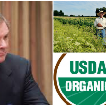 Recent Power Grab by the USDA Could “Seriously Threaten” Organic Standards, Groups Allege in Legal Petition