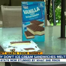 Mother Shocked After Ice Cream Sandwich Lasts 12 Hours in the Heat Without Melting (with Video)