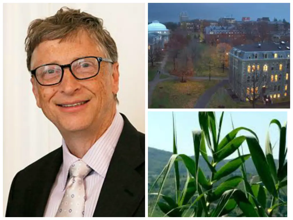 The Bill & Melinda Gates Foundation will donate almost 6 million to "depolarize" the GMO debate. 