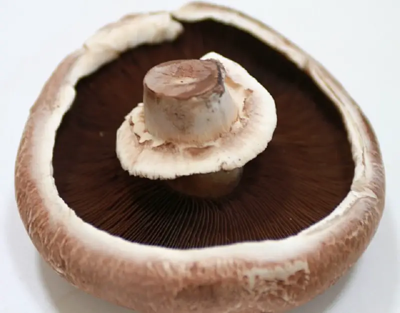Portobello mushrooms are one of the top vegan sources of vitamin D. 