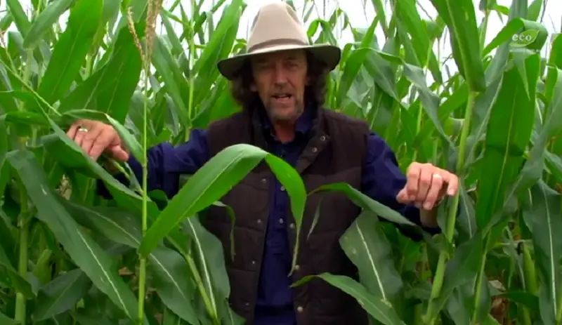 Geoff Lawton is a permaculture expert who compared monoculture GMO 'clone' crops to diverse prairie landscapes not too long ago in a video posted to YouTube. 