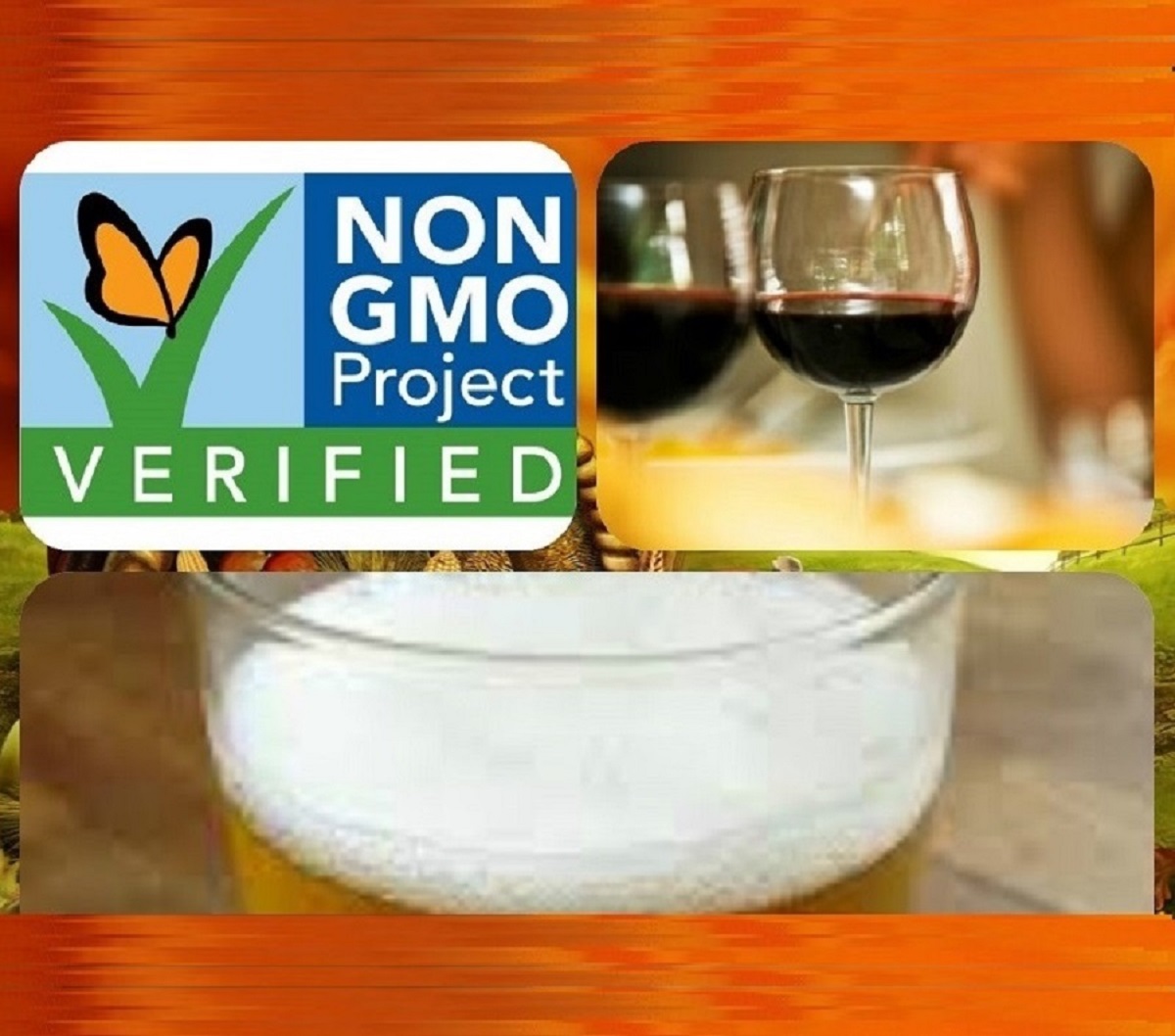 List of NonGMO Project Verified Beer & Wines to Try This Holiday