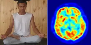 Harvard research has shown that meditation can increase brain activity and even brain size. 