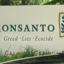 “Say No to GMO!” New York Group to Host ‘Organic Thanksgiving’ Event on Monsanto’s Front Lawn
