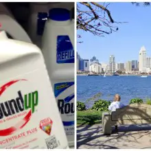 Mainstream Media Afraid to Air Monsanto’s Dirty Laundry? One Story Goes Viral, the Other Goes AWOL