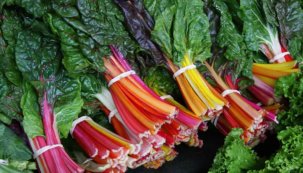 chard is healthier than kale