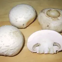 Two Ways to Never Eat Mushrooms: You May Be Exposing Yourself to Toxins If You Eat Mushrooms Like This