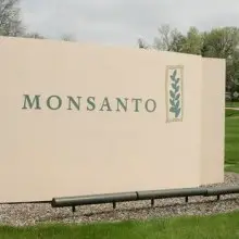 Report: Monsanto CEO Says His Company May Be Considering a Name Change, But What’s the Real Reason For It?