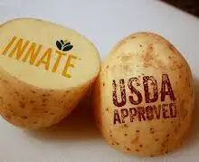 Unlabeled GMO Potatoes Finally Landed on Store Shelves; What You Must Do to Avoid Them