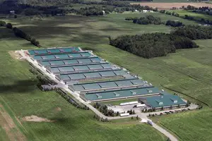 Photos taken by Cornucopia showed potential factory farm-like conditions at organic operations. It was reportedly ignored by the USDA. Click the picture to view the report.