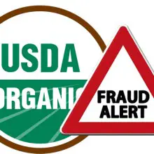 Watchdog Group Alleges Organic Fraud by the USDA, Demands Change