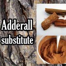 Tree Derived “Adderall Alternative” Helps People Overcome ADHD and Concentration Problems Naturally in Europe