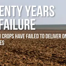 New European Report Exposes Failed Promises of GMO Crops