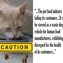 Shocking Report: Pet Food Is Toxic, Full Of GMOs, and Diseased Meat (what you should know)