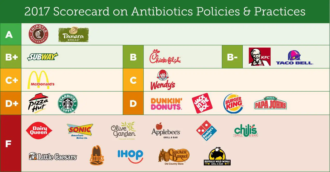chart antibiotic
