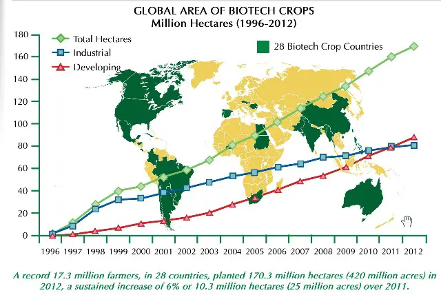 gmo-world