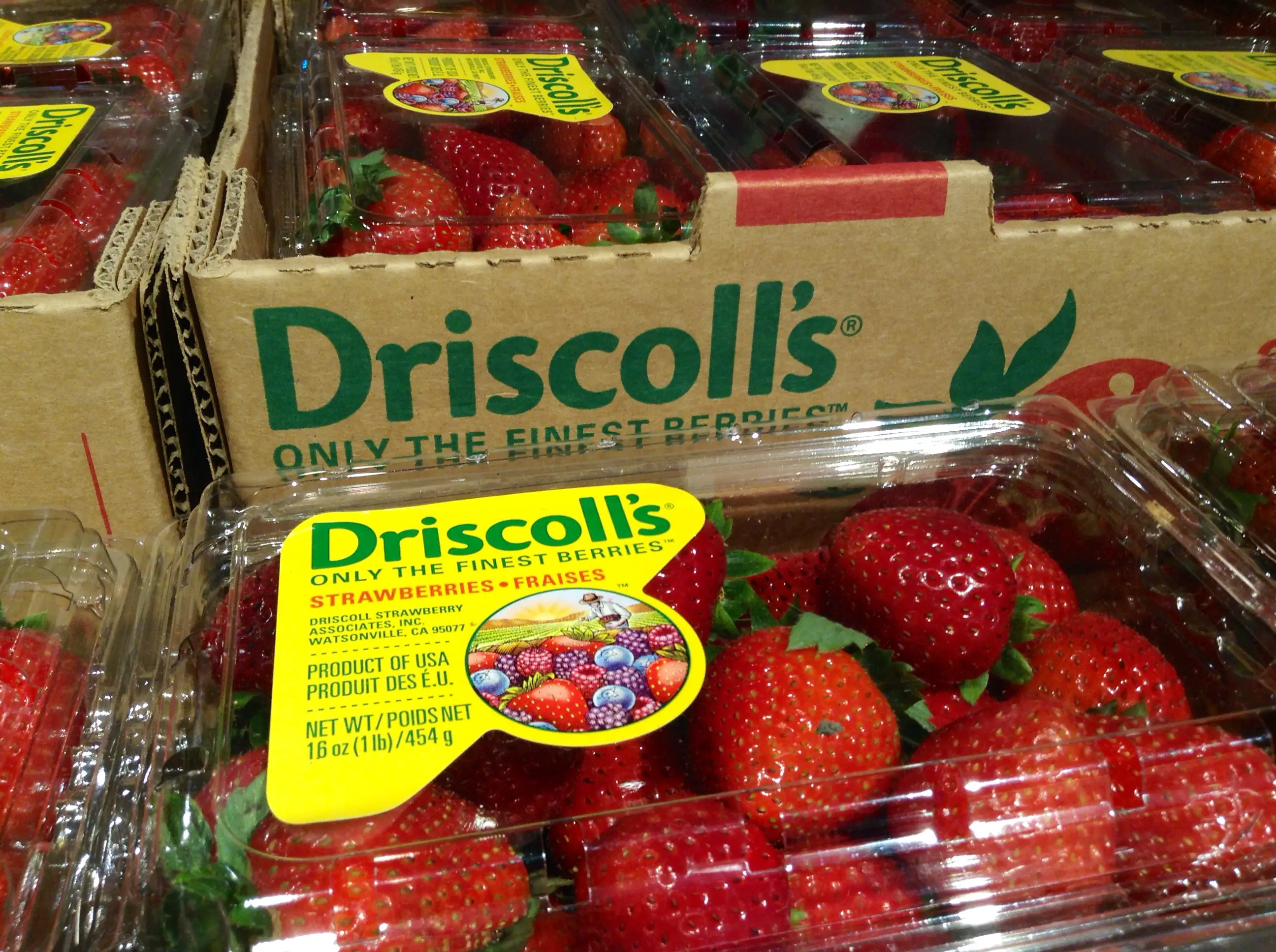 Strawberries are cheap and plentiful in the United States, but at what cost?