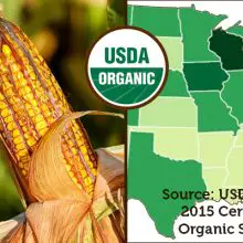 U.S. Hits Record 4.4 Million Acres of Organic Farmland, (20% Increase). These 8 States Are Leading The Way