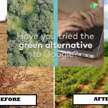 Alternative Search Engine Plants Millions of Trees and Doesn’t Censor Content Like Bigger Sites