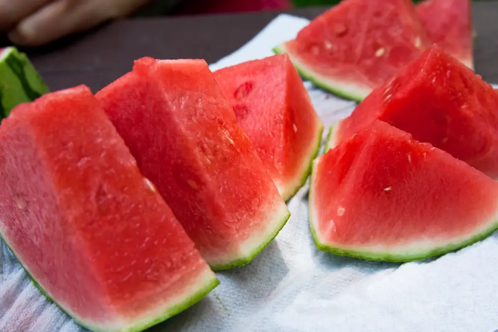 seedless watermelon gmo