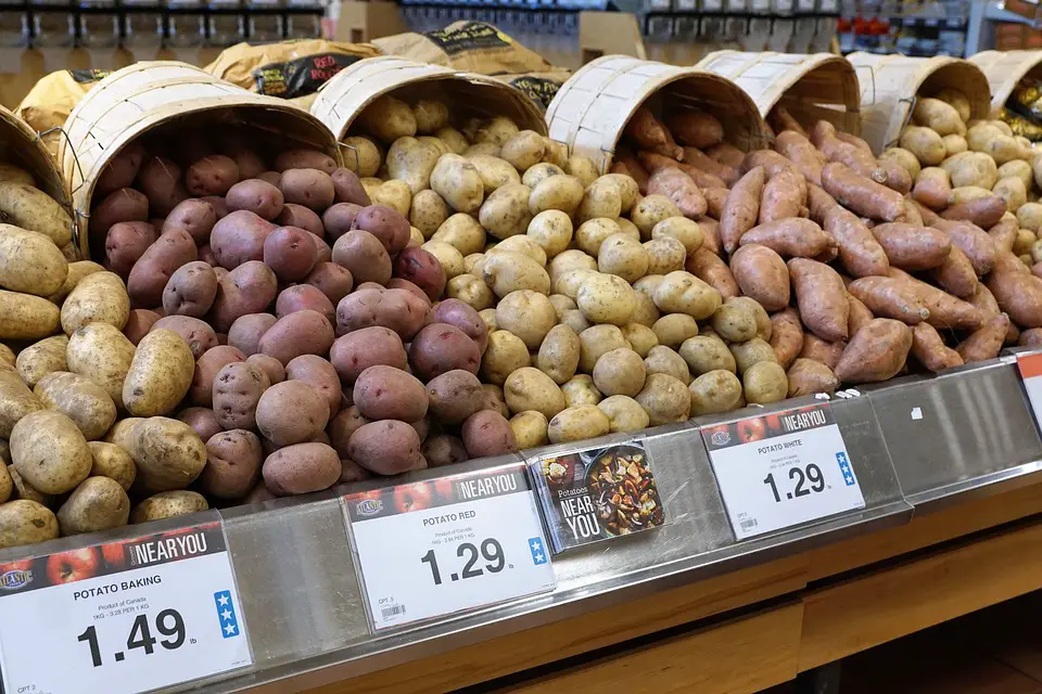 gmo potato types