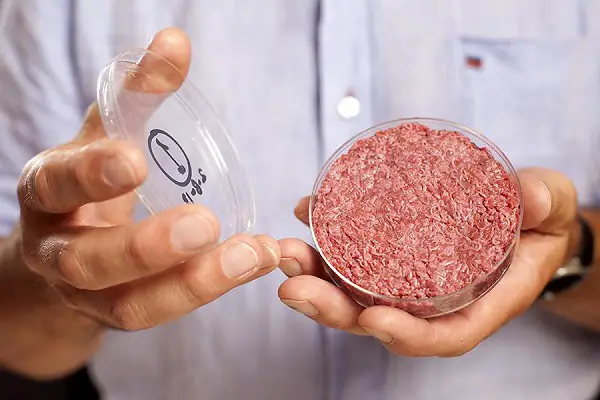 cultured beef lab grown