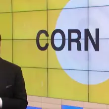 Audience Stunned  as Dr. Oz Does a Complete 180, Promotes GMO Food Company on Popular TV Show