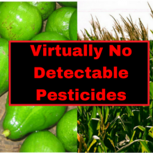 Two Favorite Non Organic Crops Contain Virtually No Detectable Pesticides, Latest Research Shows