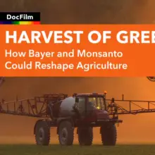 ‘Harvest of Greed:’ A Must-Watch New Film About the Monsanto-Bayer Merger