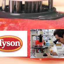 Largest U.S. Meat Producer (Tyson Foods) Invests Over $2 Million in Lab Grown Meat From Israel