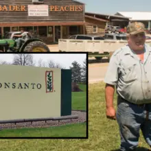Victory!!! Monsanto Denied AGAIN in Court, Will Face First “Ecological Disaster” Trial for Destroying Thousands of Acres of Crops Across the Country