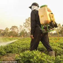 Monsanto Protection Act Part II? Provision Written by Monsanto-Sponsored Congressman Could Revoke Citizens’ Right to Ban Cancerous Pesticides