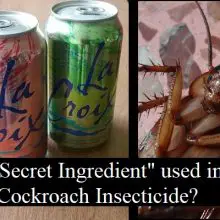 LaCroix Is Hit With a Lawsuit. Their “Natural Flavor” May Be A Cockroach Insecticide