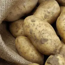 Potatoes Now Classified as “High Risk” For GMO Contamination