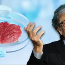 GMO Pusher Bill Gates Teams Up With Richard Branson, Hopes to End the Meat Industry As We Know It With Lab-Grown Beef