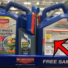 Costco Finally Begins Pulling Glyphosate, Replaces it With Chemical Said to Be Even More Toxic