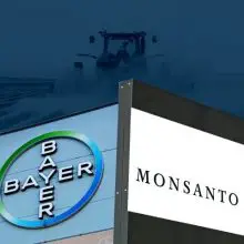 Breaking News: Bayer Stock Has Now Lost Almost 50% of Its Value Since Merger With Monsanto