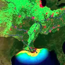 Near-Record “Dead Zone” Caused by Factory Farming to Hit the Gulf of Mexico This Year, Scientists Say