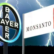 Top 10 Bayer Products to Boycott Since the Company’s Merger with Monsanto