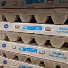Spending Extra on Cage Free Eggs is a Waste of Money (For These Six Reasons)