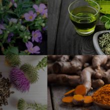 The Combination of These 5 Well-known Herbs May Help Slow Down the Aging Process